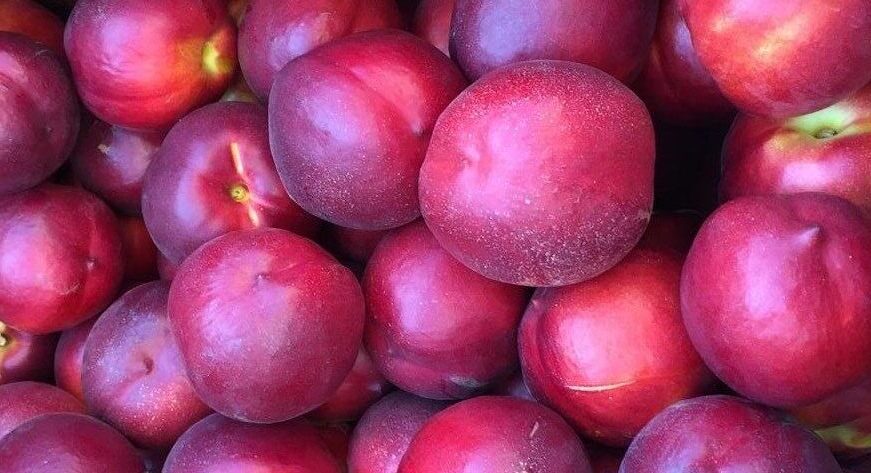 Nectarines